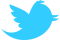 Twitter-News